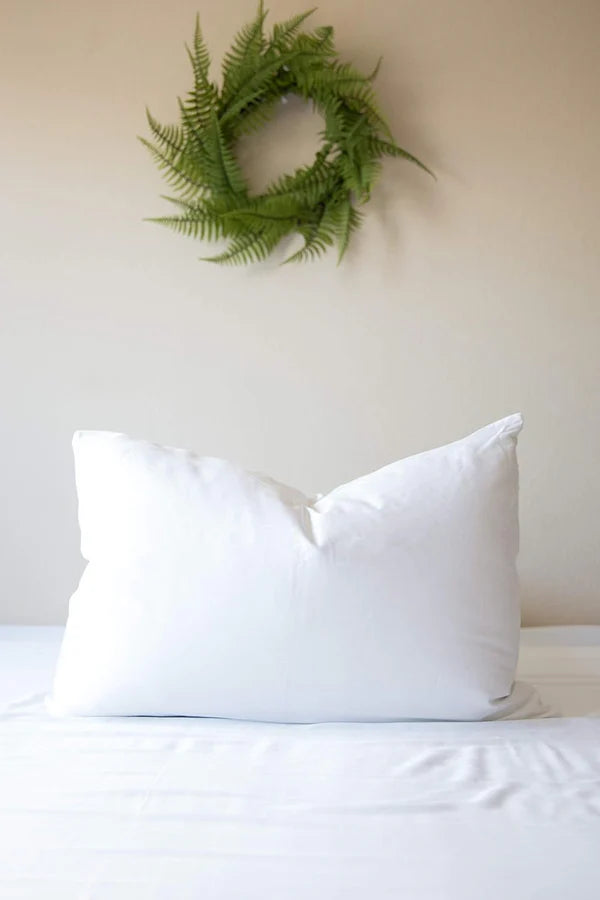 Pacific Coast Touch of Down Standard Size 2-Pillow Set