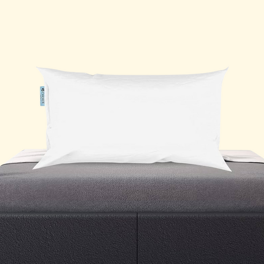 Choice Hotels BLUE LABEL Firm Classic Pillow, Featured at Many Hotels Made in USA
