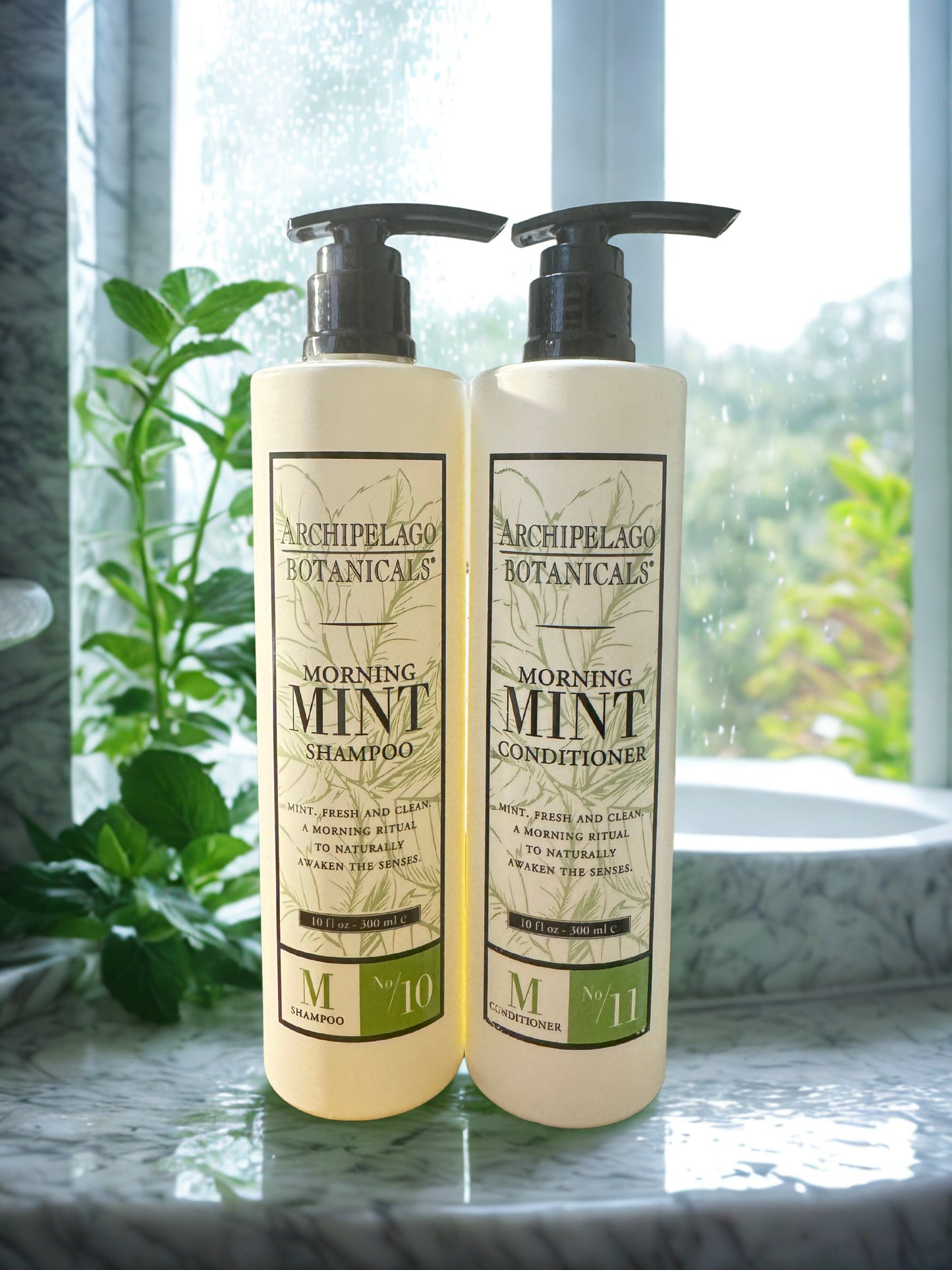 Archipelago Botanicals Morning Mint Shampoo